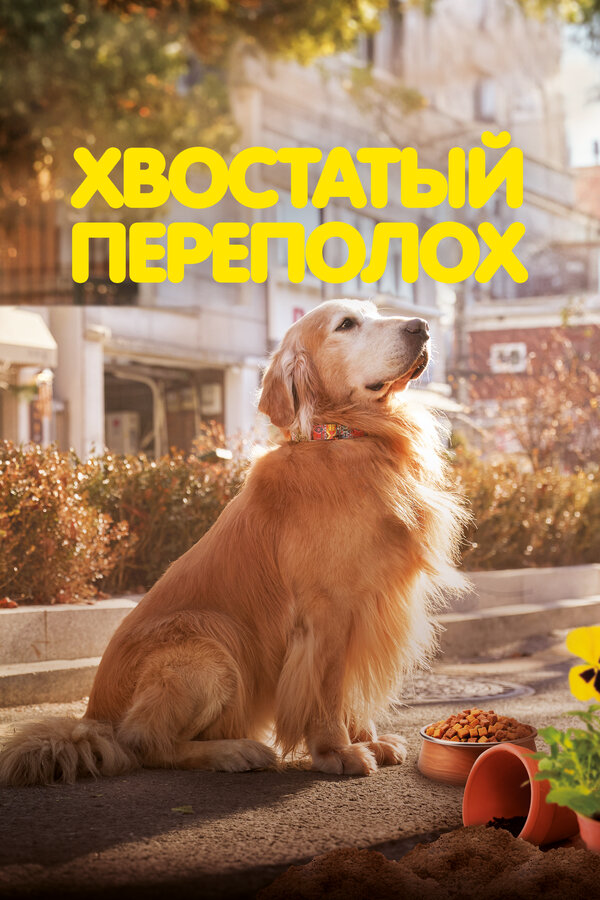 Постер фильма